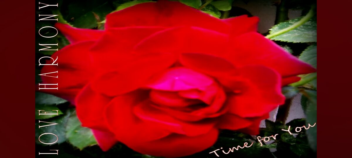 LOVE_HARMONY_-_Time_for_You__2017__jpg.jpg